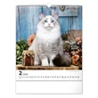 Kép 3/5 - Falinaptár REALSYSTEM 300x340mm álló Cats 2026.