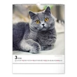 Kép 4/5 - Falinaptár REALSYSTEM 300x340mm álló Cats 2026.