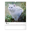 Kép 5/5 - Falinaptár REALSYSTEM 300x340mm álló Cats 2026.