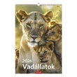 Kép 1/5 - Falinaptár TOPTIMER T094 220x330mm álló Vadállatok 2026.