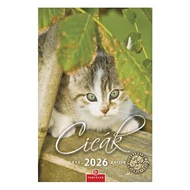 Falinaptár CSG 210x320mm álló Cicák 2026.