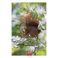 Falinaptár CSG 210x320mm álló Erdeink világa 2026.