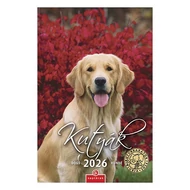 Falinaptár CSG 210x320mm álló Kutyák 2026.