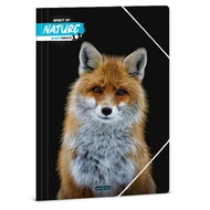 Gumis mappa ARS UNA A/4 Máté Bence-fox Gumis mappa ARS UNA A/4 Máté Bence-fox