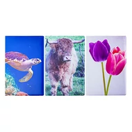 Okmánytartó Személyi Igazolvány felirattal mintás álló 4 lapos Okmánytartó Személyi Igazolvány felirattal mintás álló 4 lapos