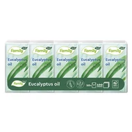 Papírzsebkendő TENTO Family eucalyptus 3 rétegű 10x10 darabos