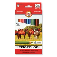 Színes ceruza KOH-I-NOOR 3142 Tricolor háromszögletű vastag lovak 12 darabos
