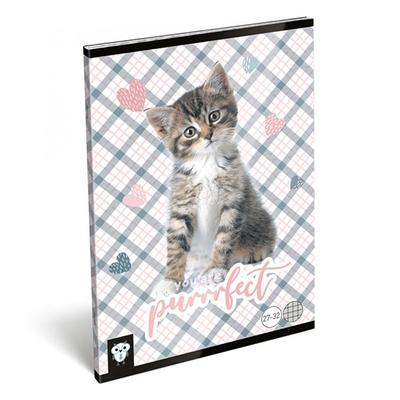 Füzet LIZZY CARD A/5 32 lapos kockás 27-32 purrrfect