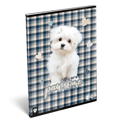 Füzet LIZZY CARD A/4 32 lapos kockás 87-32 pawsome