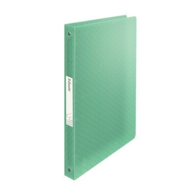 Gyűrűskönyv ESSELTE Colour`Ice A/4 PP 4R 25mm zöld