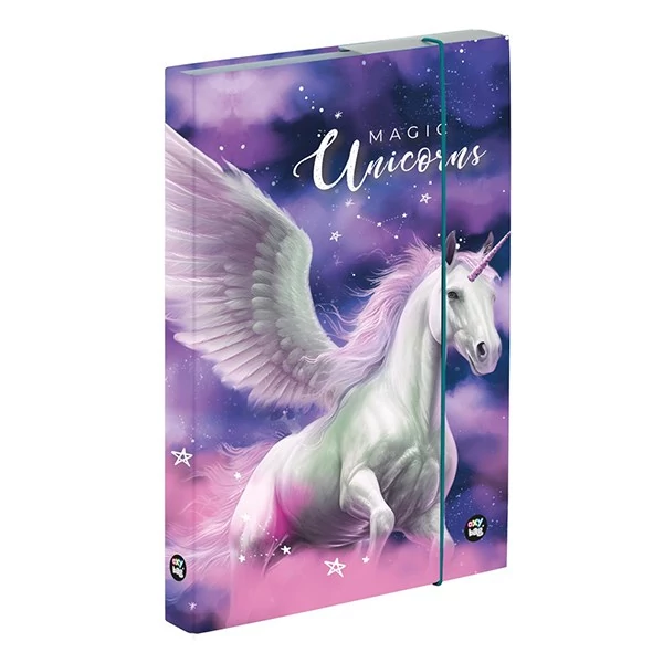 Füzetbox OXY A/5 Pegasus